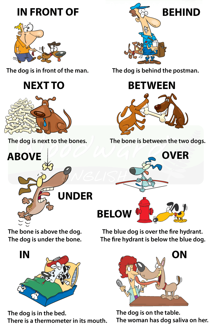 preposition in, on, under