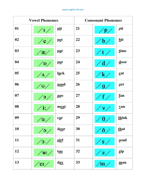 The production of English Sounds | English pronunciation | English EFL